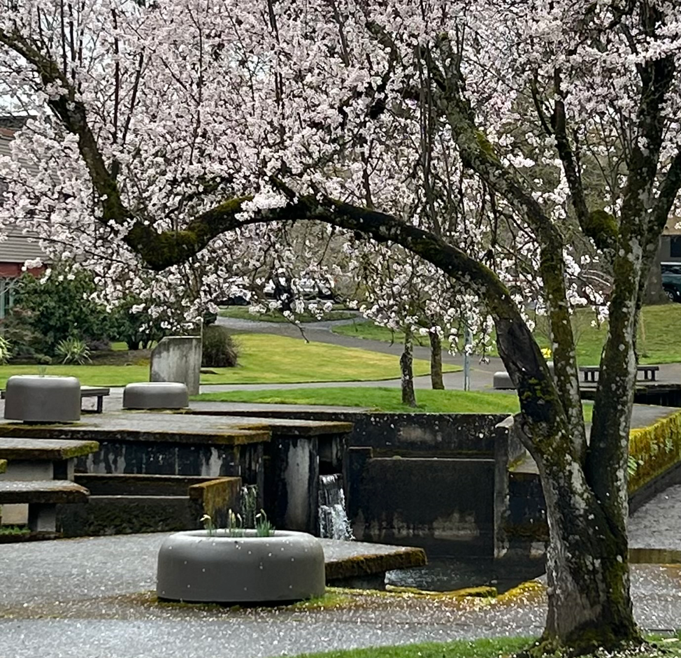 Routine-testing-and-Rainfall-outflow-testing